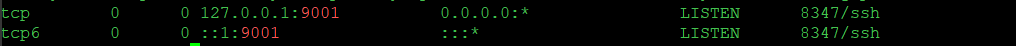 netstat.png